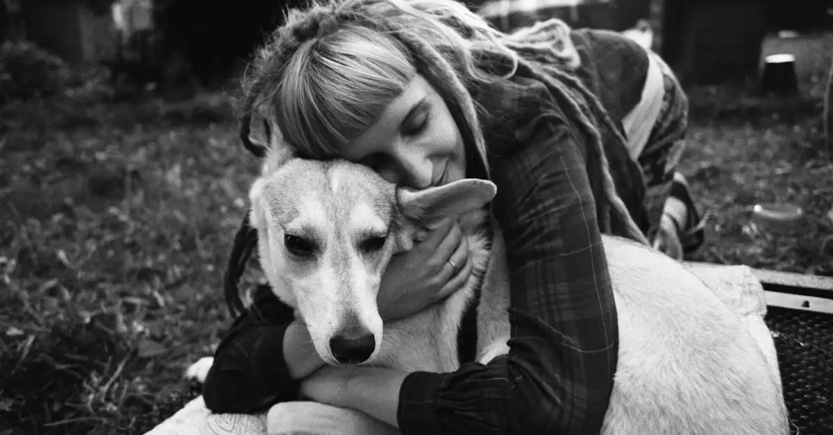 Cães conseguem sentir a tristeza dos donos? Descubra!