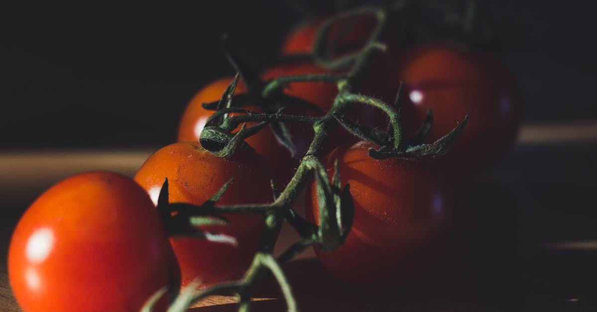 Como cozinhar eficientemente para grandes grupos?
