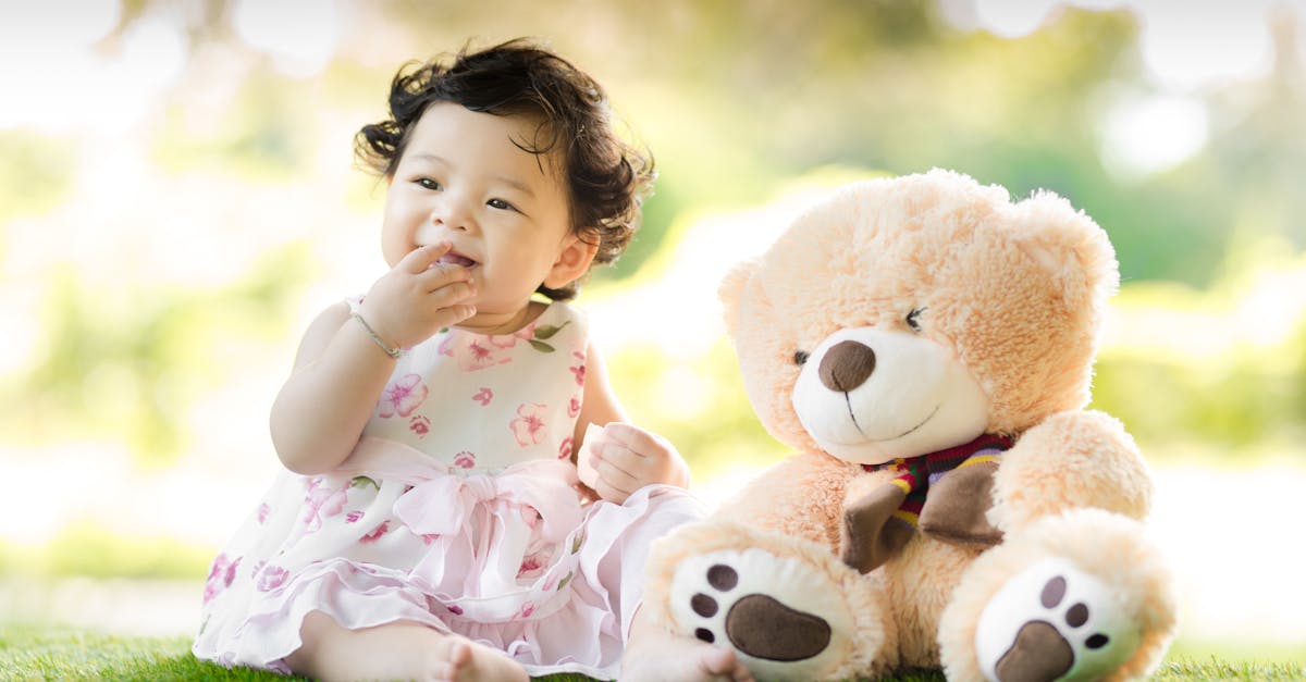 Qual a Origem do Nome 'Urso de Pelúcia'?