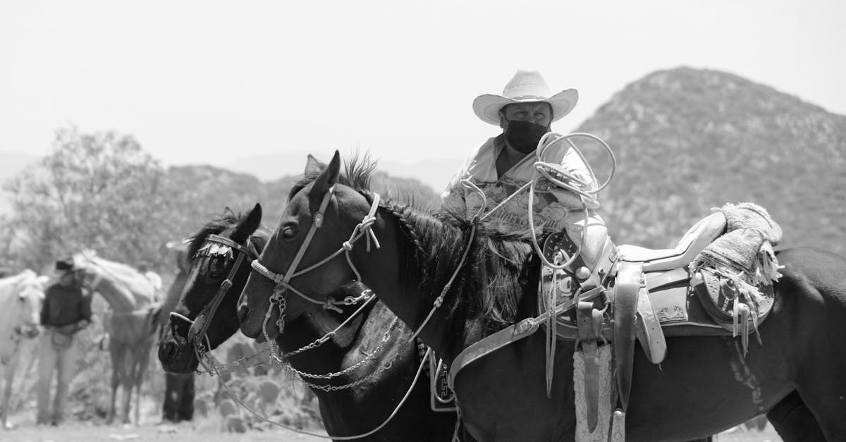 Qual é a origem da história de Black Beauty?