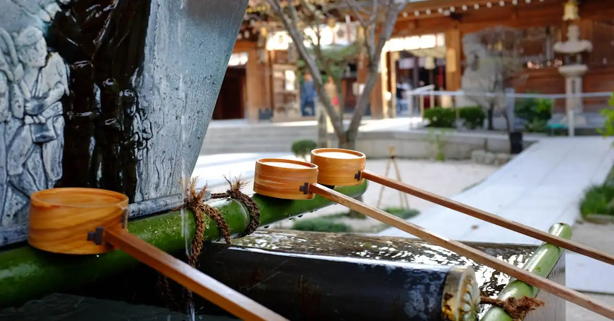 Qual o significado de um jardim japonês para as pessoas?