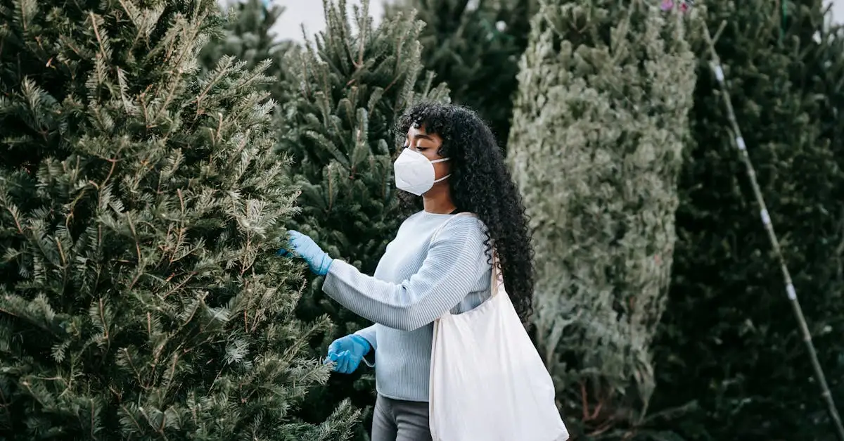 Árvore de Natal: Cuidados ou melhor escolher a artificial?