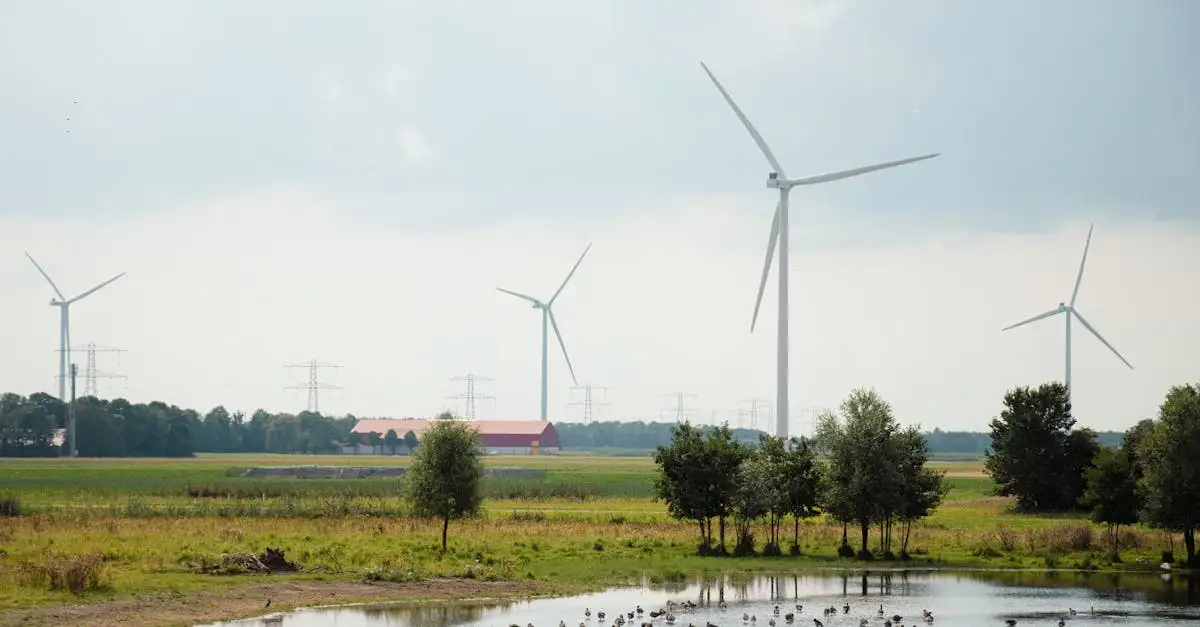 Por que Denkend aan Holland conquista tantas pessoas?