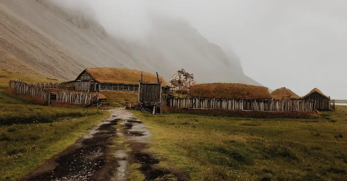 Quais eram as principais rotas comerciais dos vikings?