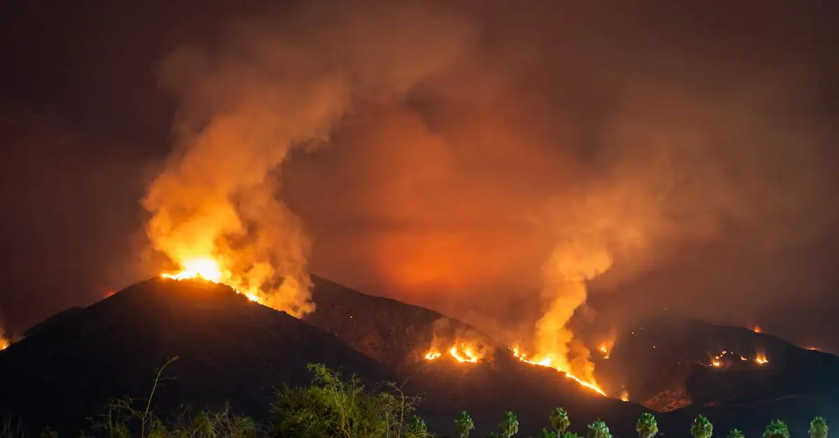 Quais foram as causas dos incêndios florestais na Califórnia em 2021?