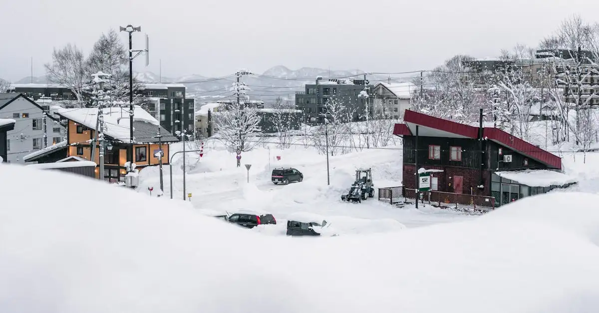 Quais são os melhores lugares para esquiar em Niseko, Japão?