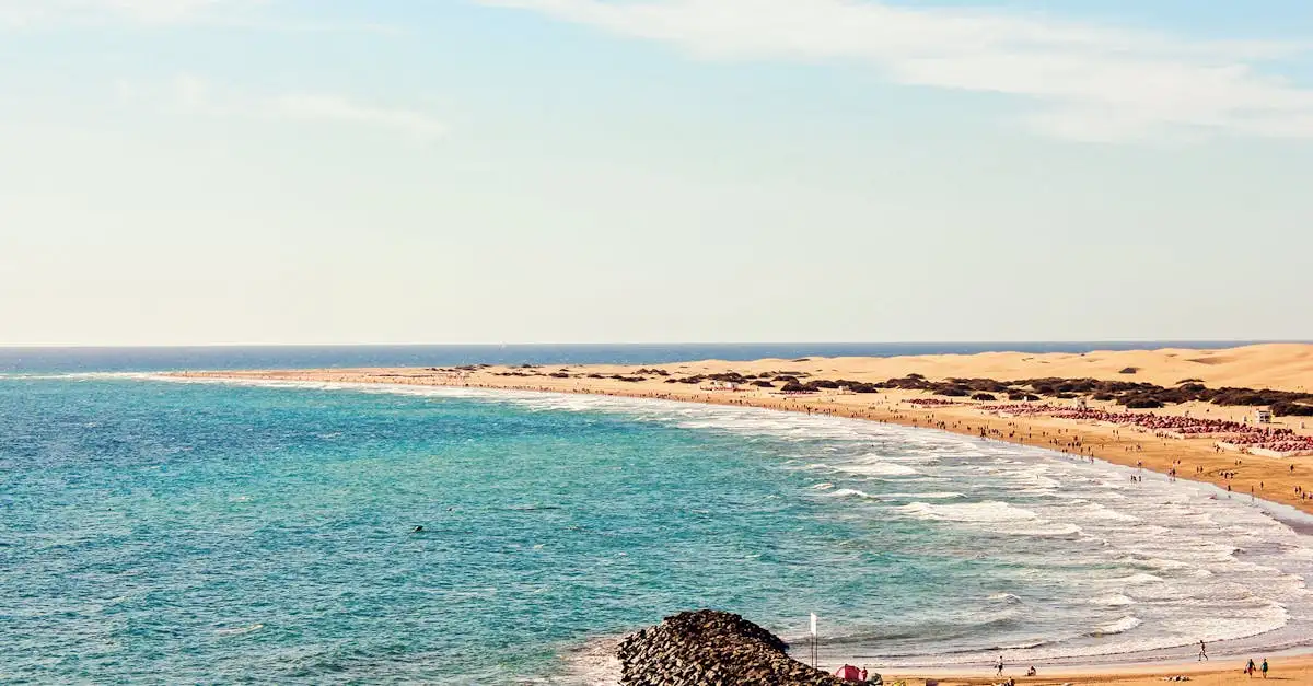 Qual deserto da Namíbia abriga a Costa Esquelética?