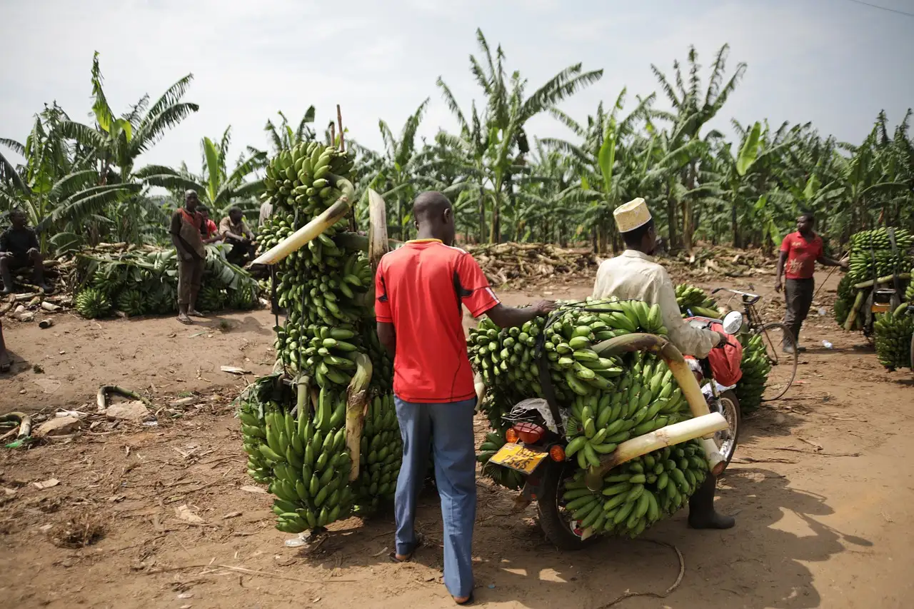 Qual é a capital de Uganda e o que a torna especial?