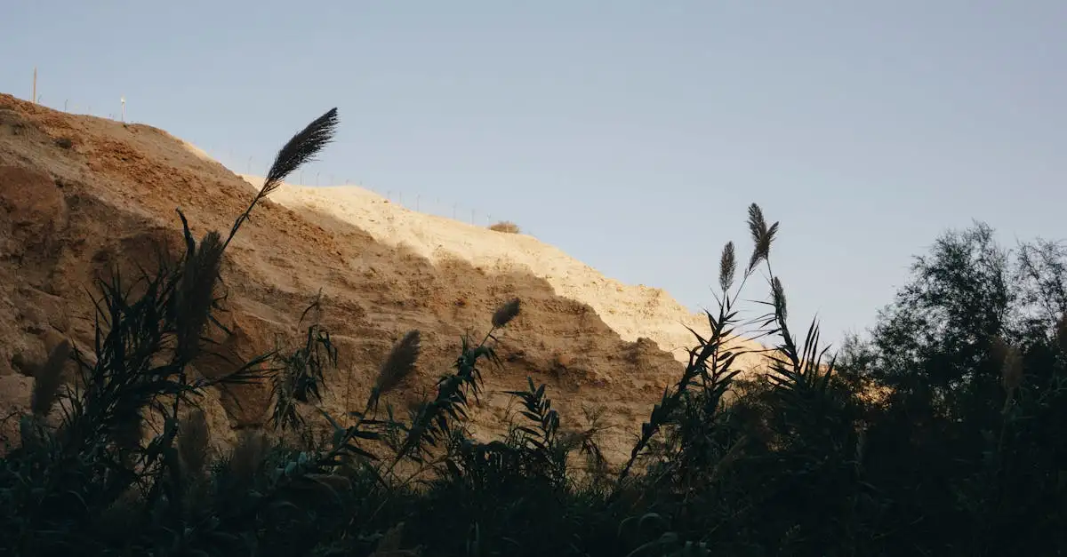 Qual é o único lago salgado do Parque Nacional Ein Gedi?