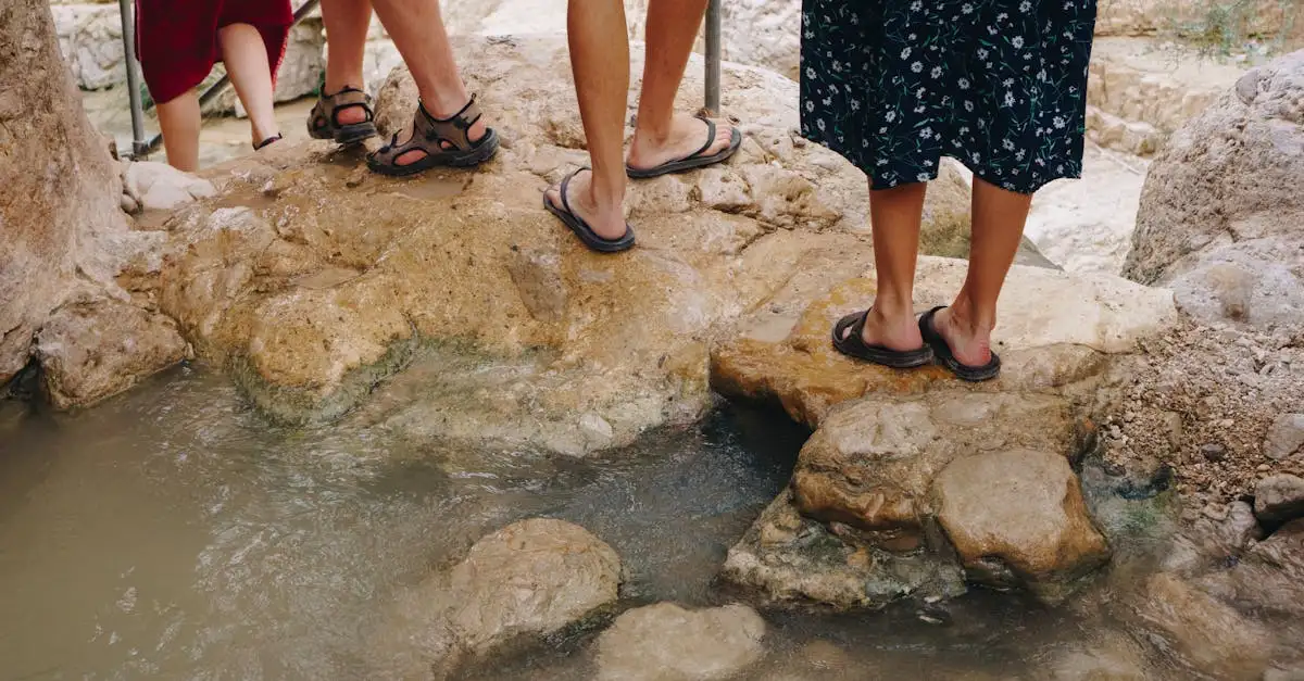 Qual é o único lago salgado do Parque Nacional Ein Gedi?