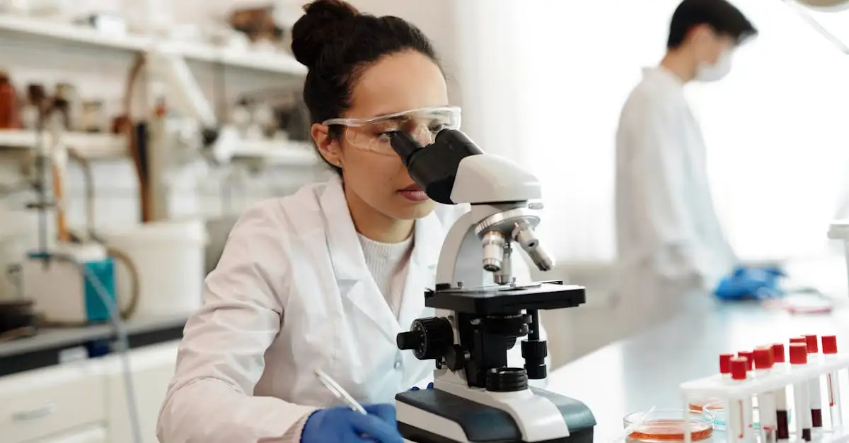 Como a análise de DNA revela a origem dos cães?