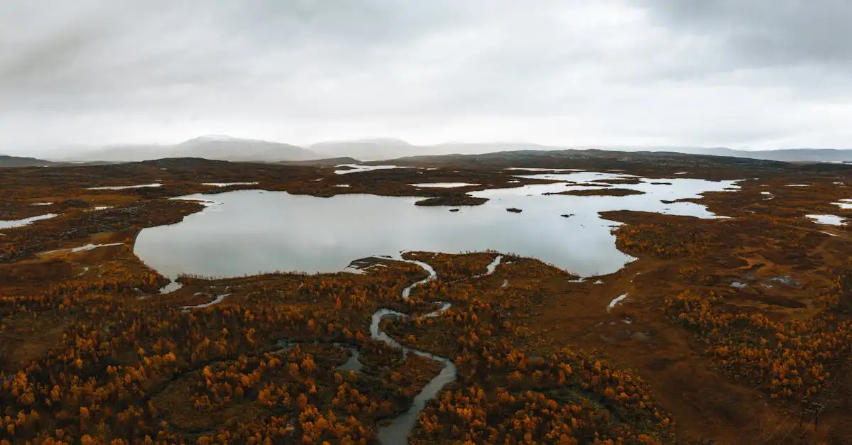 Quais são os ecossistemas do Lago Uvs na Mongólia e Rússia?