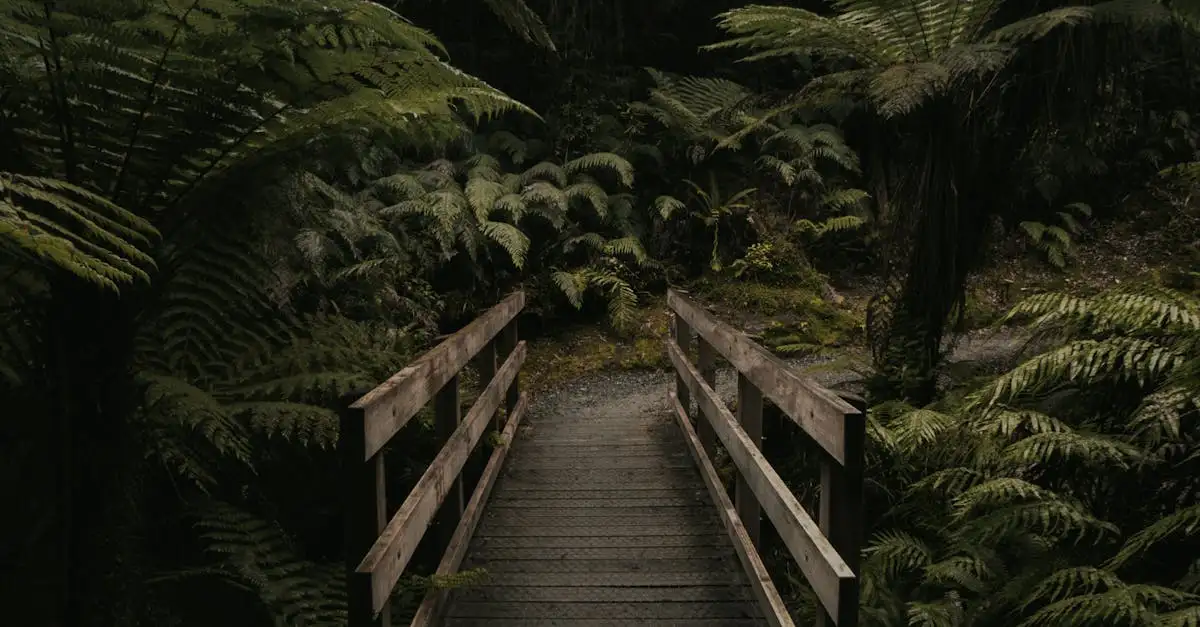 Qual região da Austrália abriga plantas únicas?