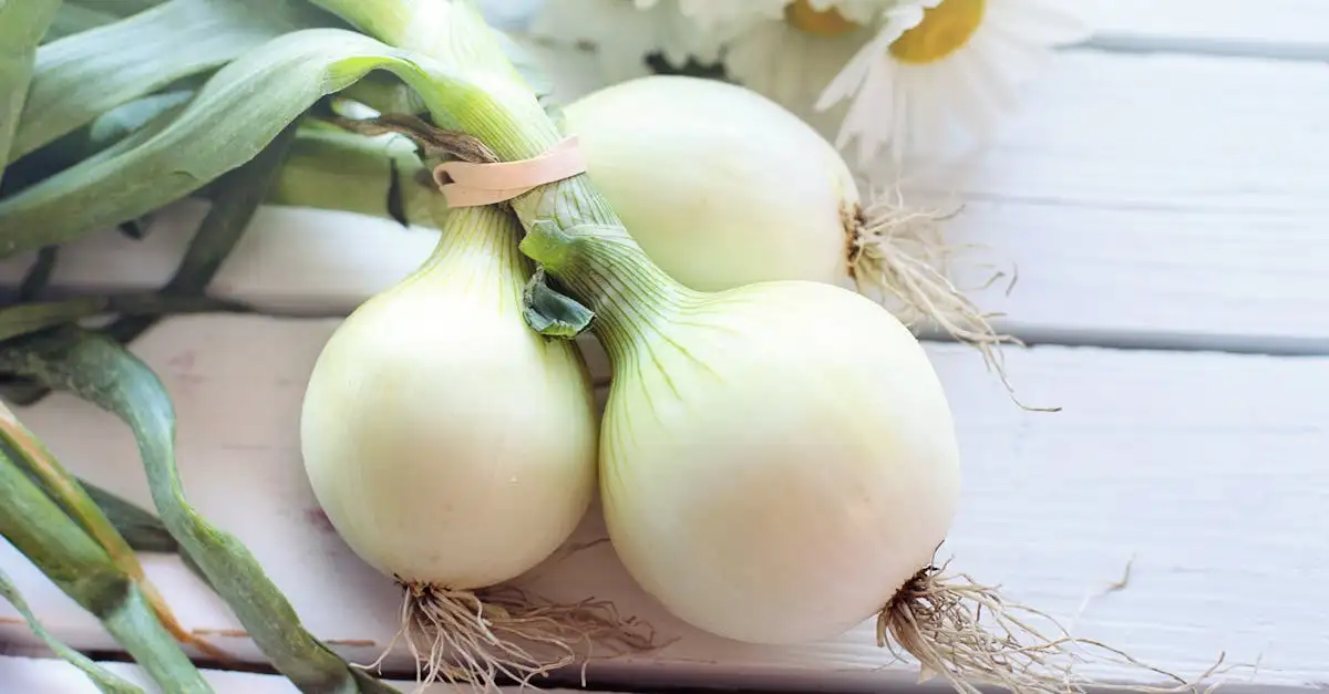 Como caramelizar cebolas sem açúcar de forma natural?