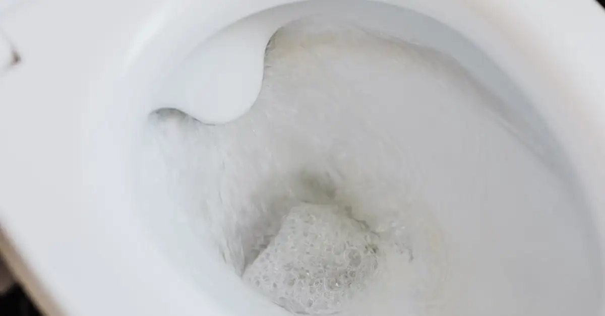 Como usar óleos essenciais para um banheiro sempre fresco?
