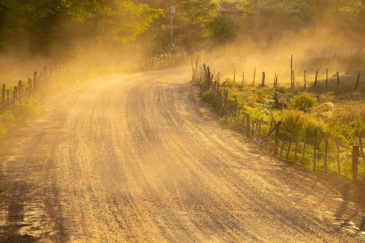 Por que o Dust Bowl dos anos 30 causou tanta destruição?