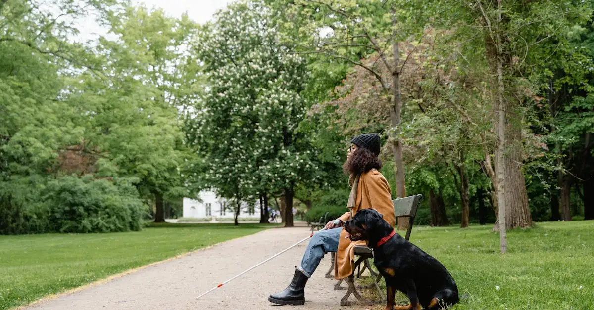 Como são treinados os cães de assistência para deficientes?