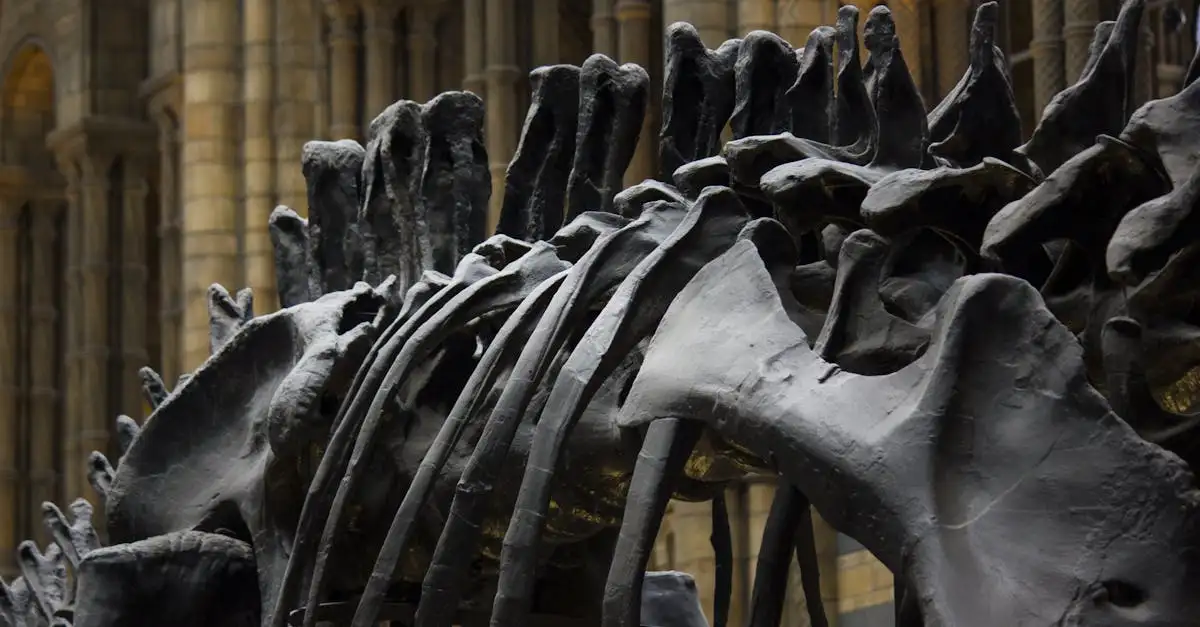O que as impressões dentárias e ossos fossilizados revelam?