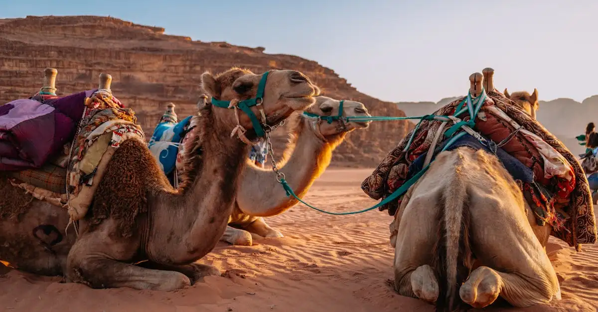 O que explorar nas impressionantes paisagens de Petra?