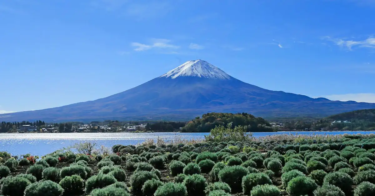 Quais são os vulcões no Parque Nacional Vulcão Pacaya?