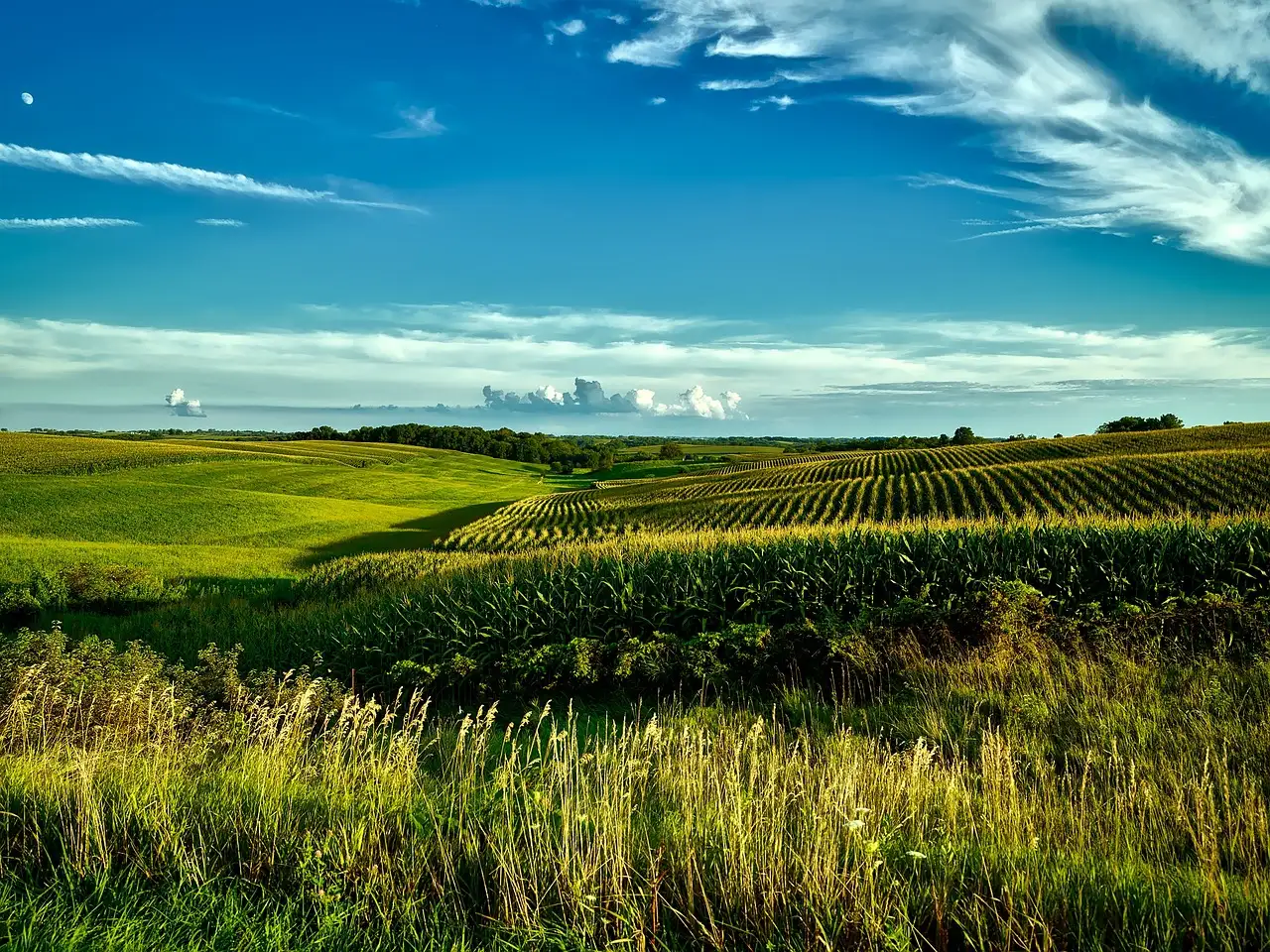 Qual é a capital de Iowa e por que foi escolhida?
