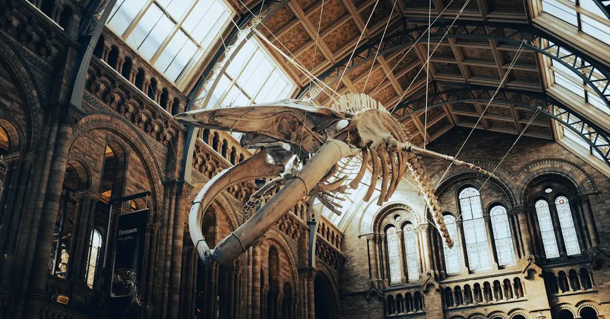 Qual é a localização do Museu de História Natural em Londres?
