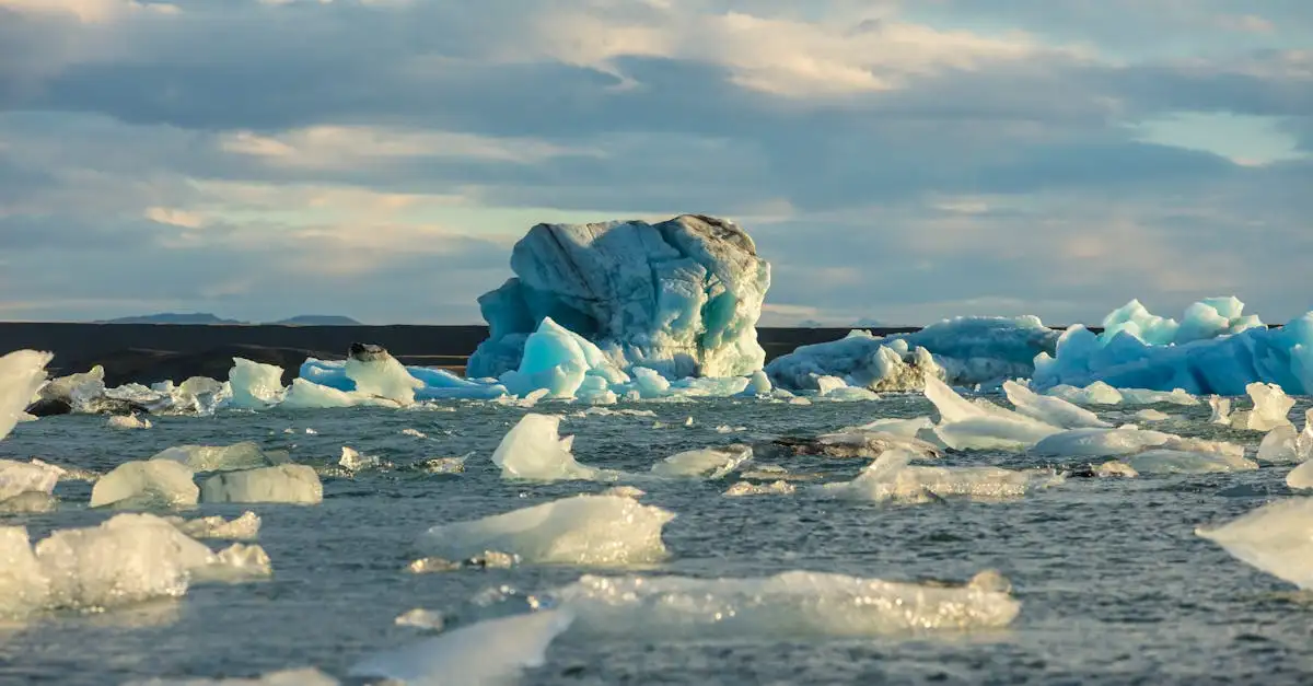 Qual é o deserto mais frio do mundo: é a Antártica?