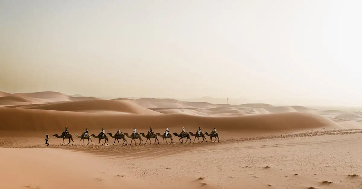 Qual é o maior deserto da África? Descubra agora!