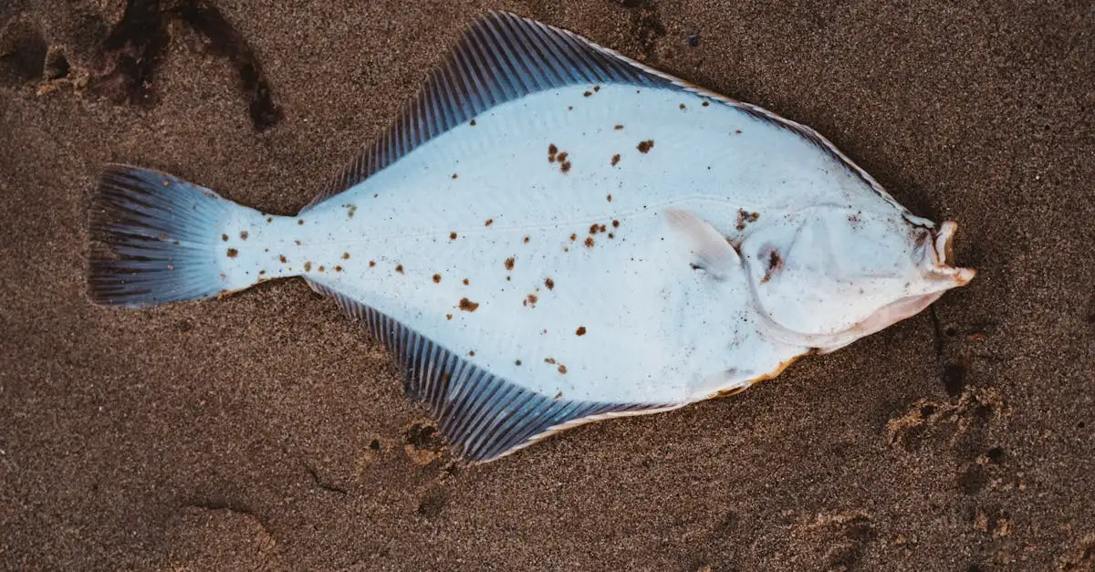 Qual o impacto do Lago Winnipeg na pesca da região?