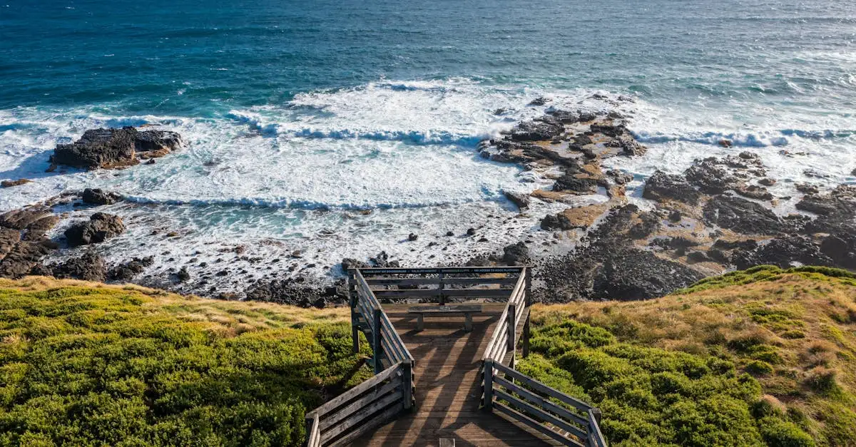 Por que a parada dos pinguins em Phillip Island encanta tanto?