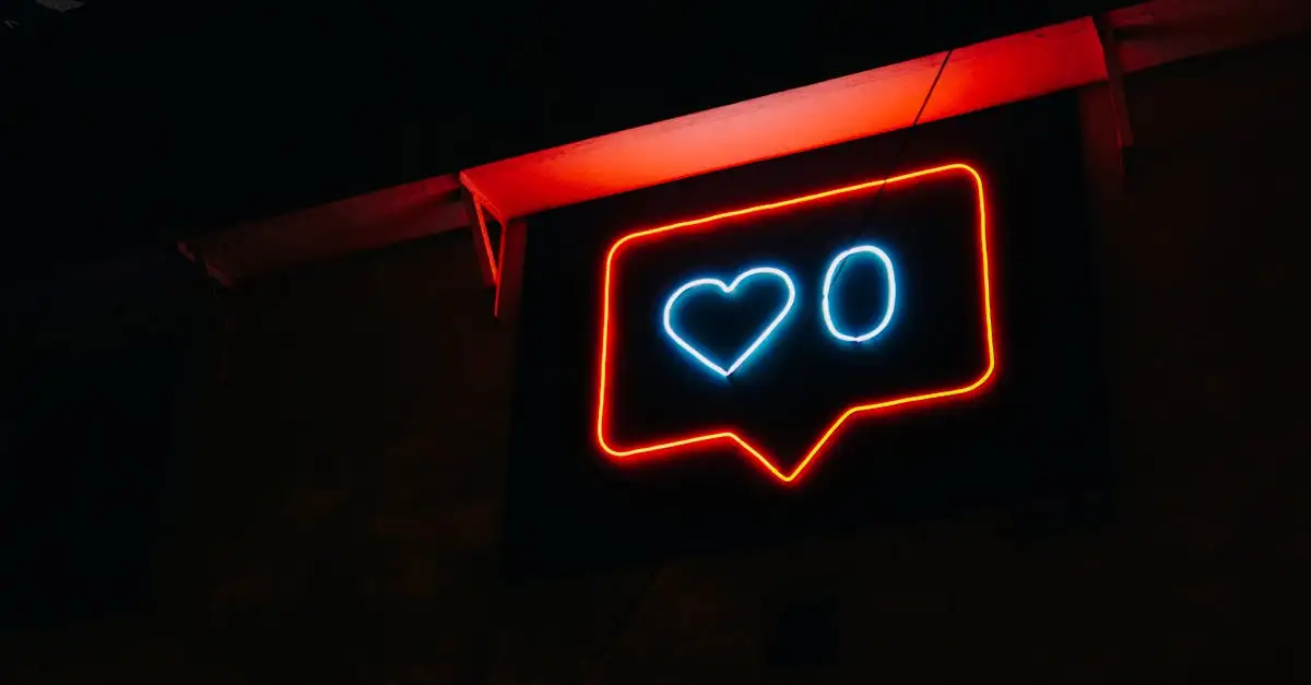 Por que os gatos conquistam as redes sociais tão facilmente?