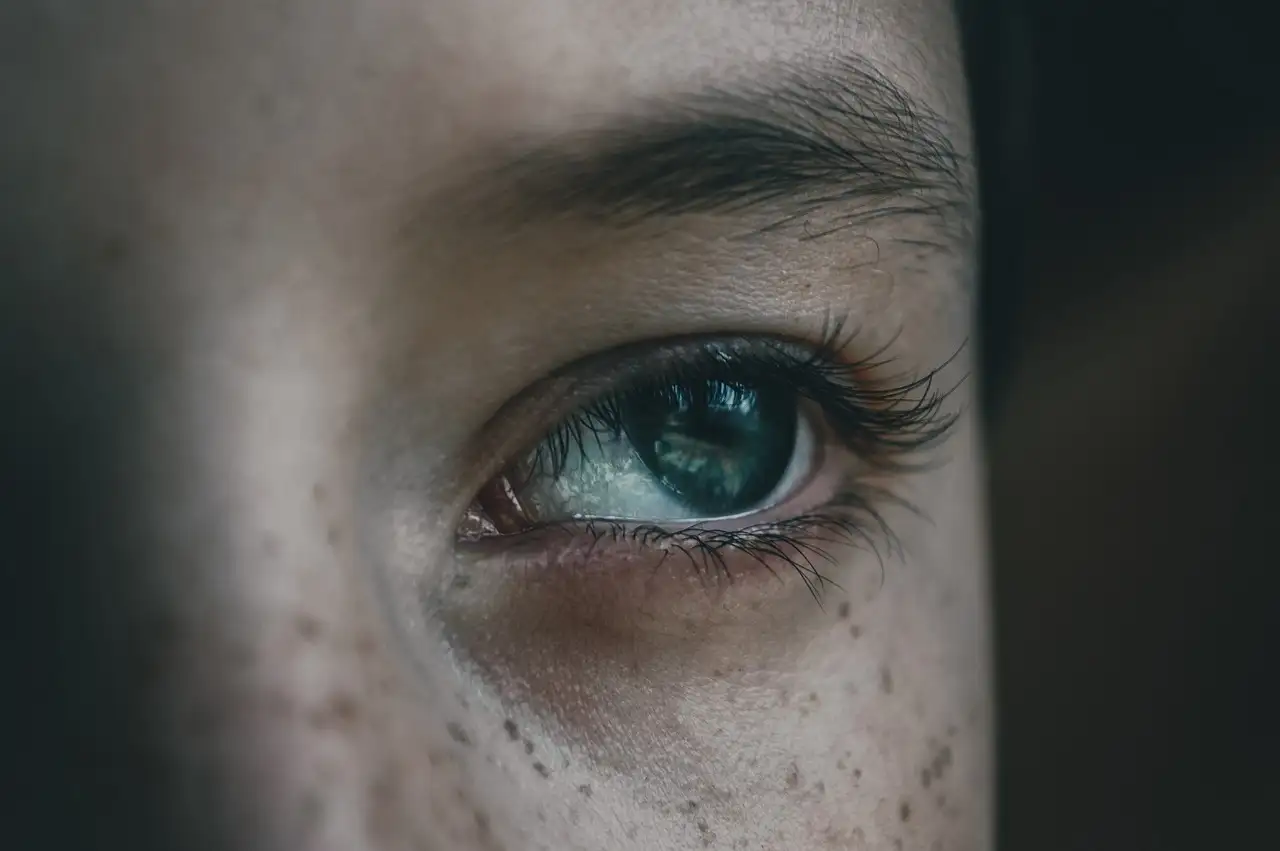 Por que os olhos dos gatos brilham tanto à noite?
