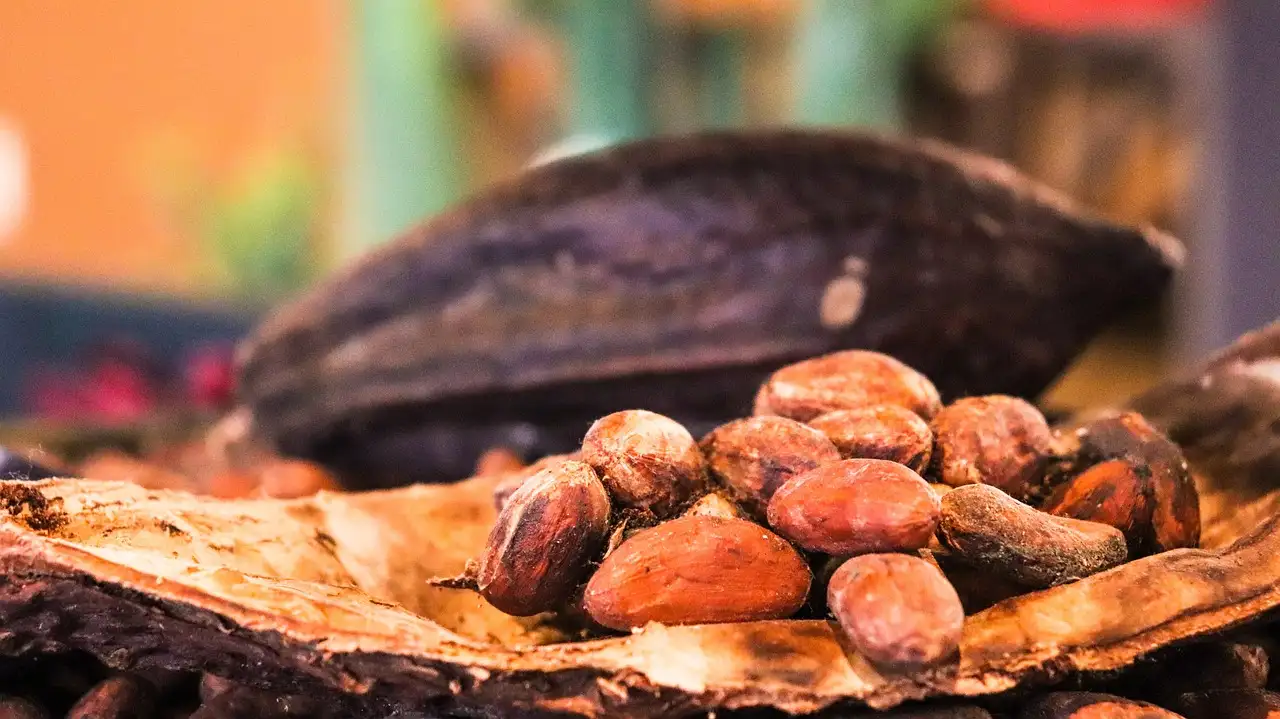 Qual a importância do milho e cacau na cultura mexicana?
