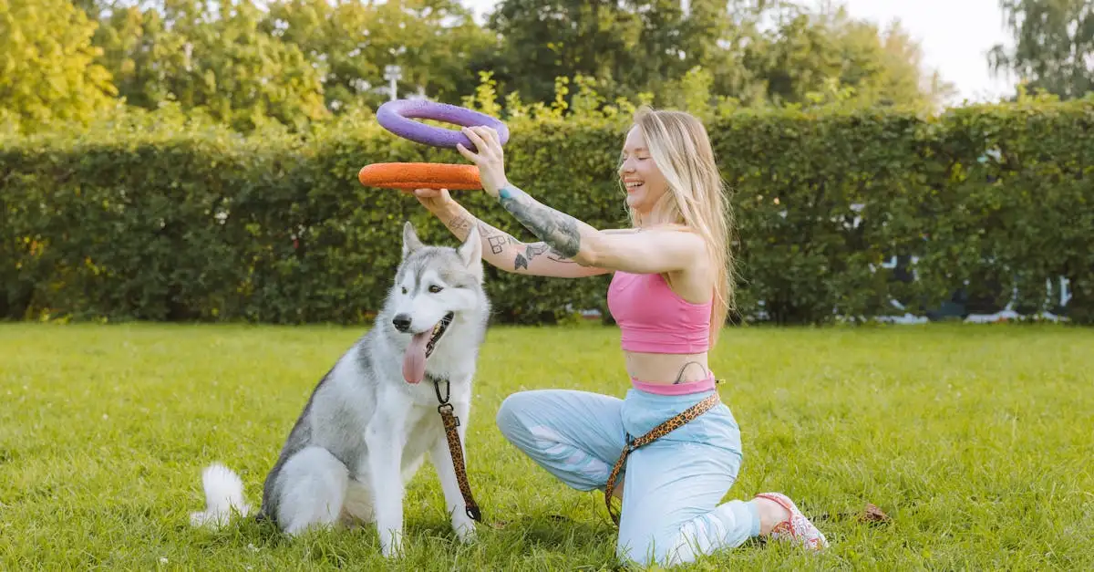 Qual é a importância dos cães no entretenimento atual?