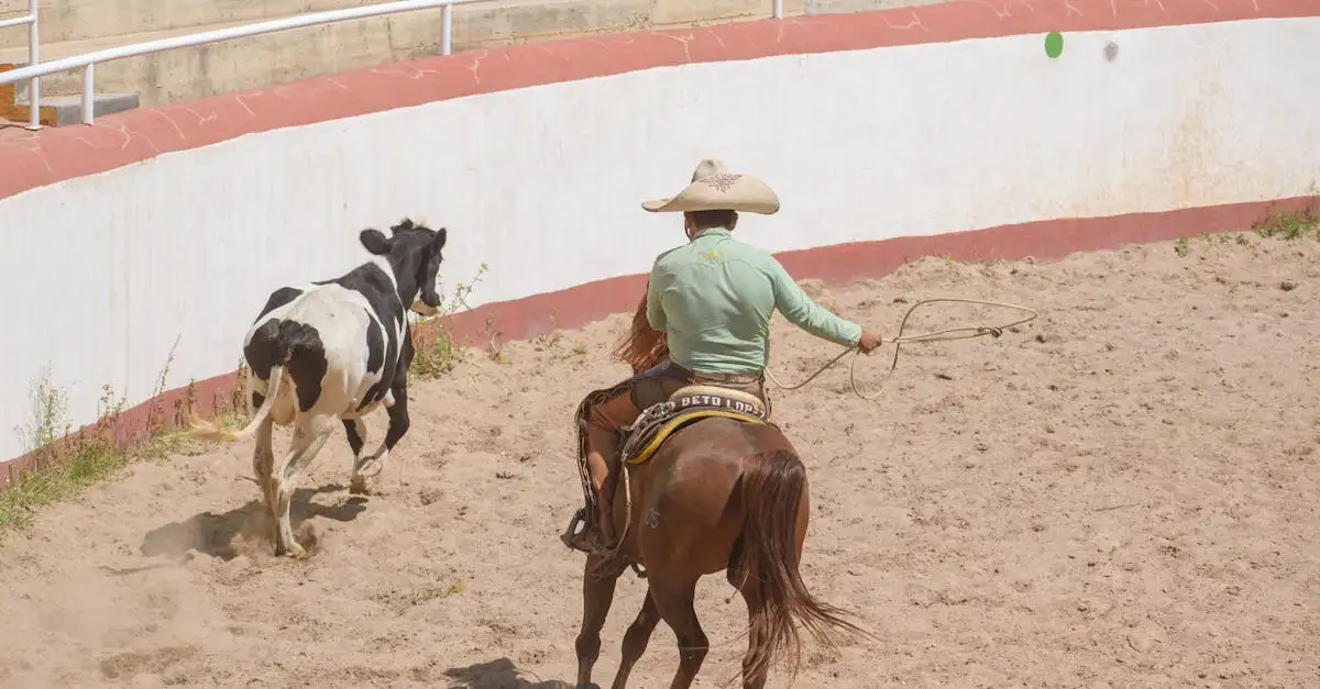 Como os cavalos transformaram a vida dos índios?