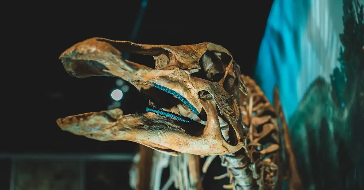Como os cientistas provaram que dinossauros tinham penas?