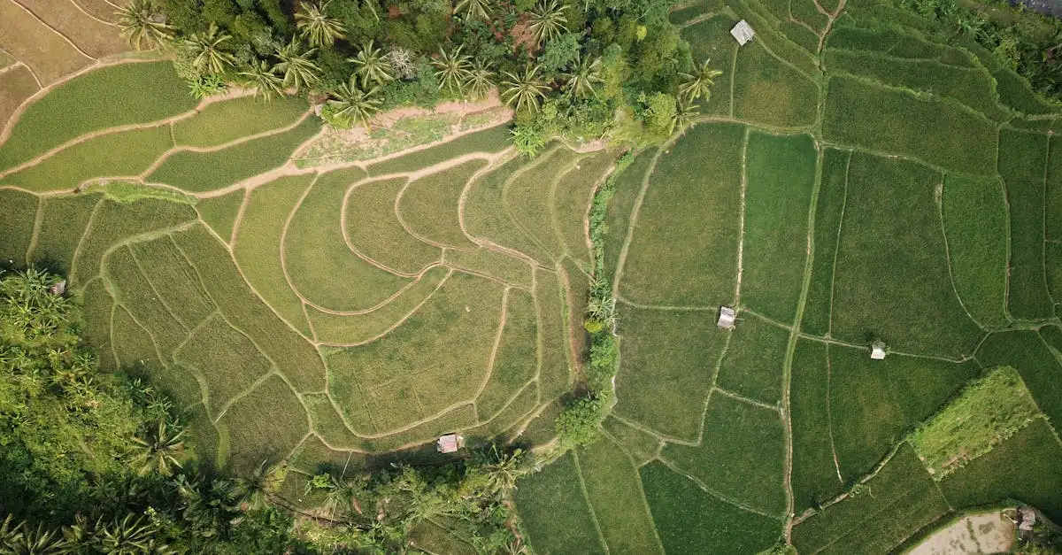 Como os dinossauros impactaram a fertilidade dos ecossistemas?