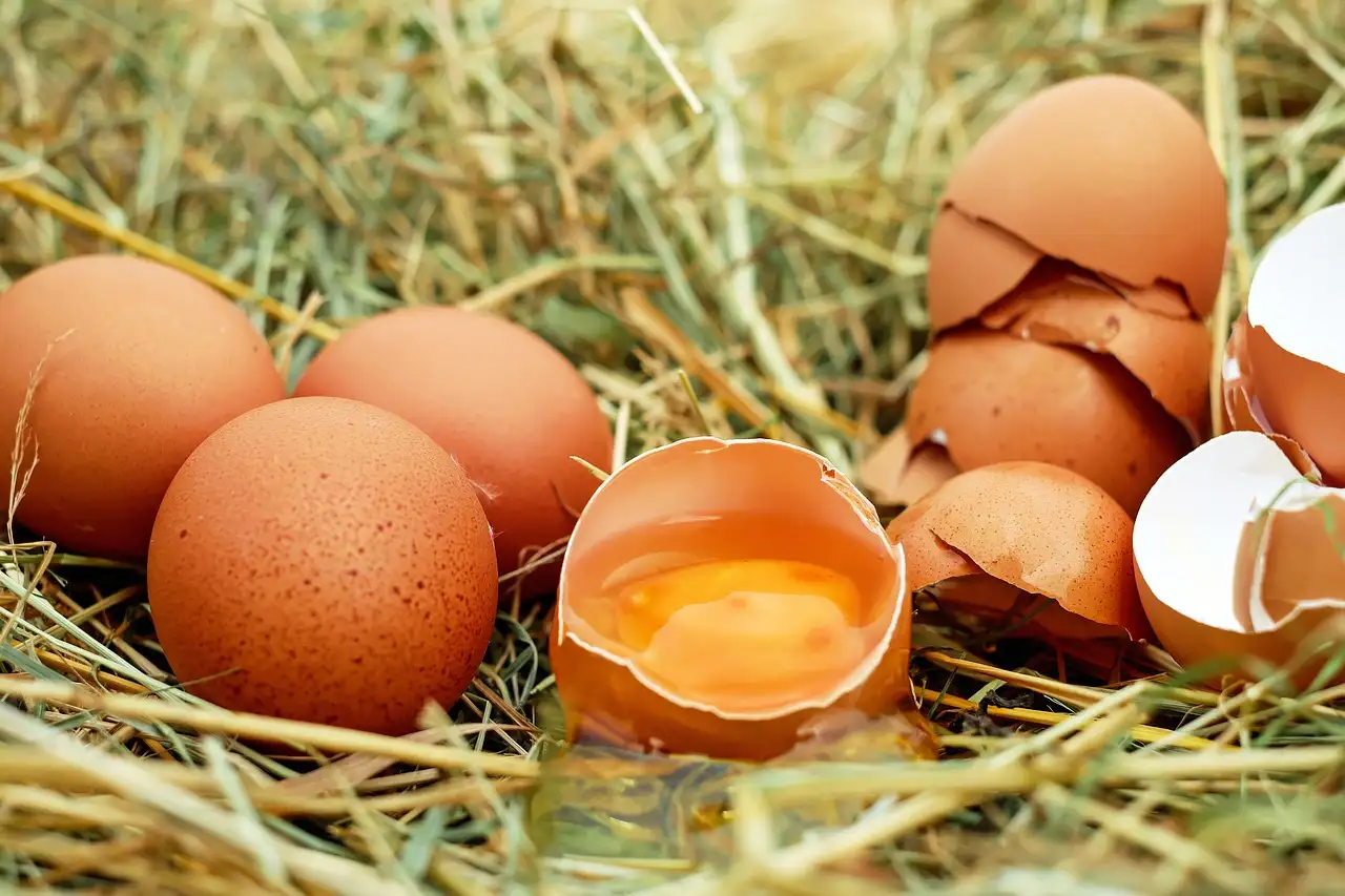 O vinagre na água de cozimento: qual seu efeito nos ovos?