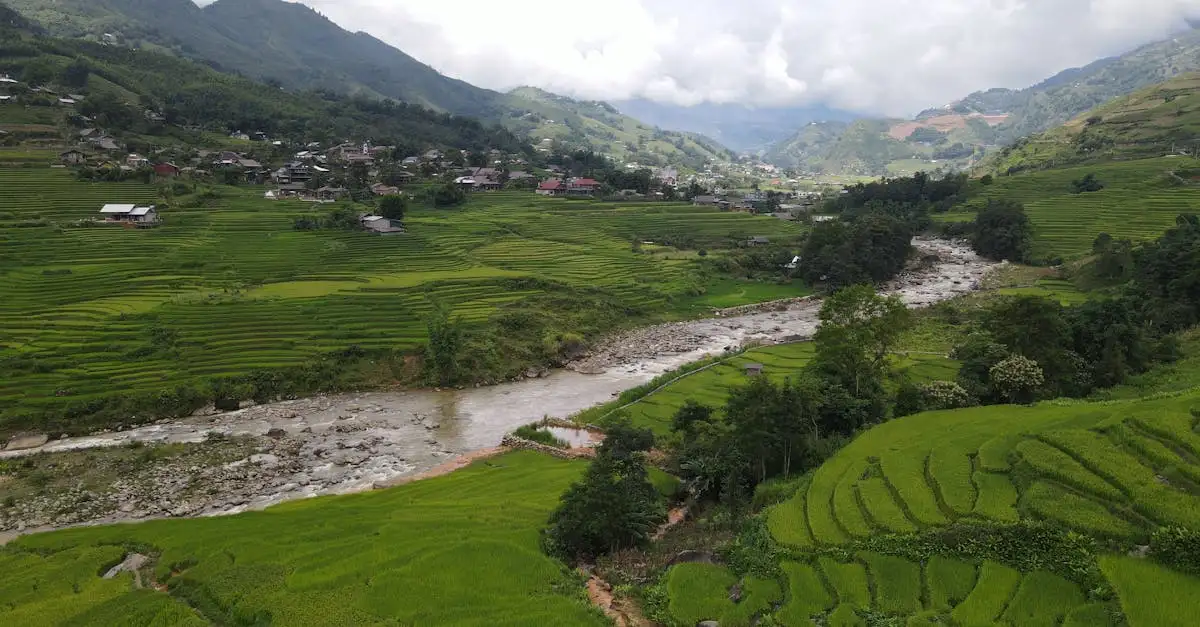 Onde estão os famosos campos de arroz coloridos em Sapa?