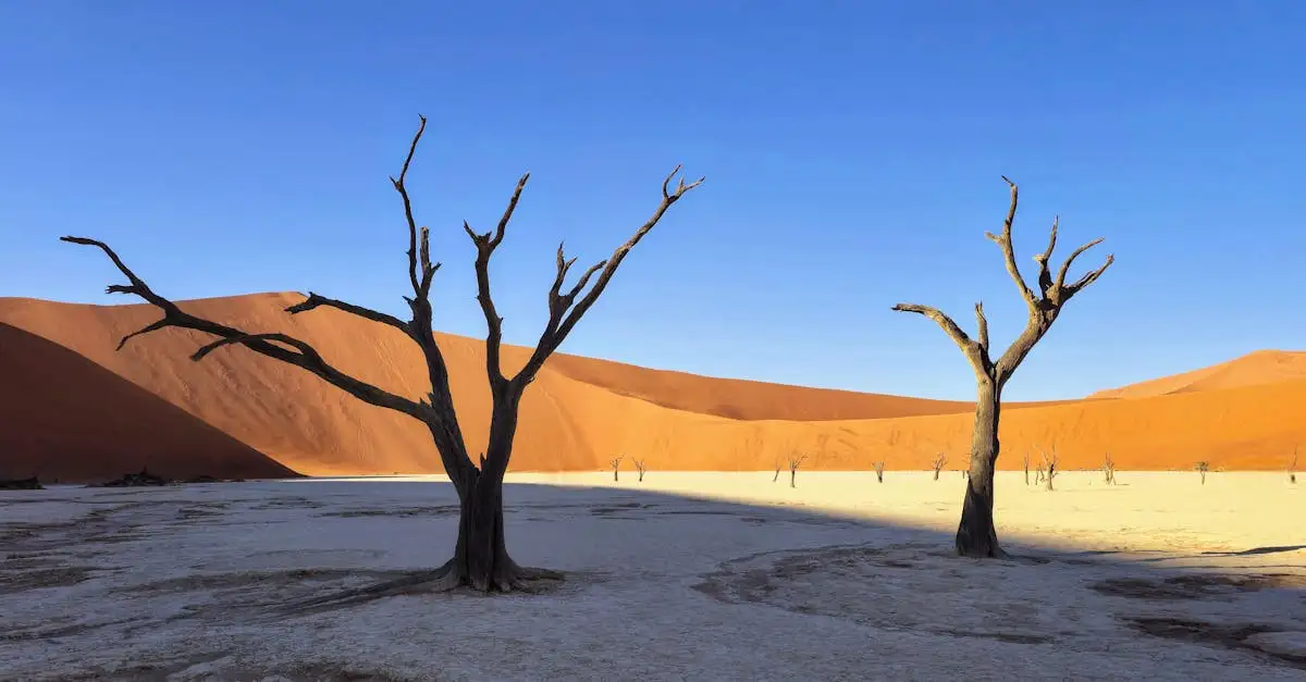 Onde fica o deserto da Namíbia e o Parque Namib-Naukluft?