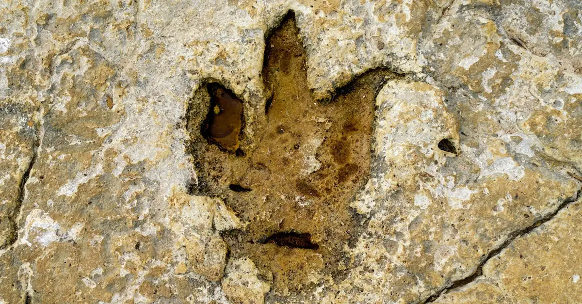 Quais dinossauros habitaram a Europa? Descubra agora!