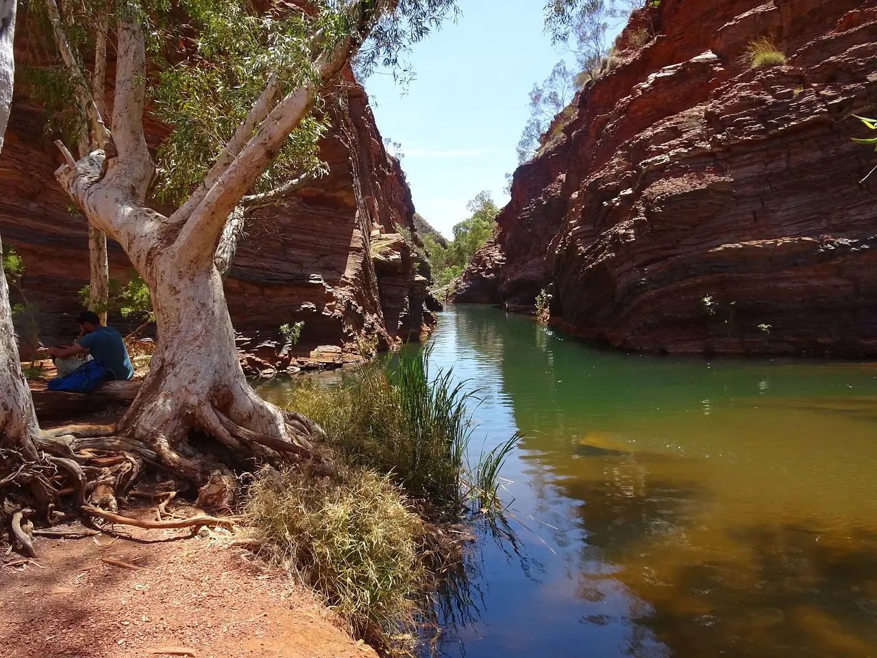 Quais poços naturais em Karijini são ideais para nadar?