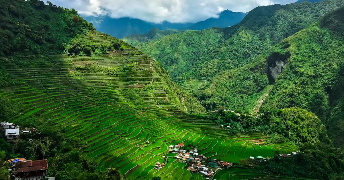 Qual cidade das Filipinas abriga os campos de arroz de Banaue?