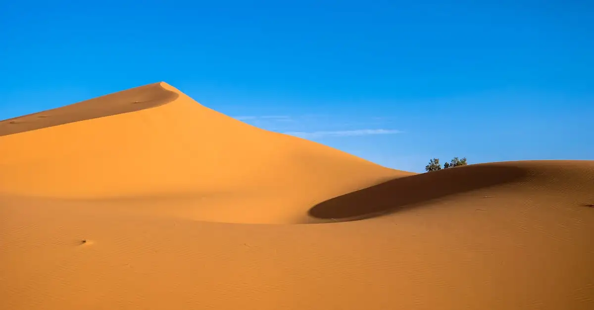 Qual deserto no Marrocos é famoso por suas dunas cinematográficas?