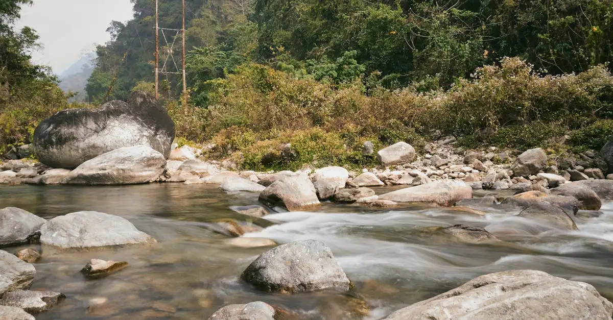 Qual é a importância do Parque Nacional Jigme Dorji no Butão?