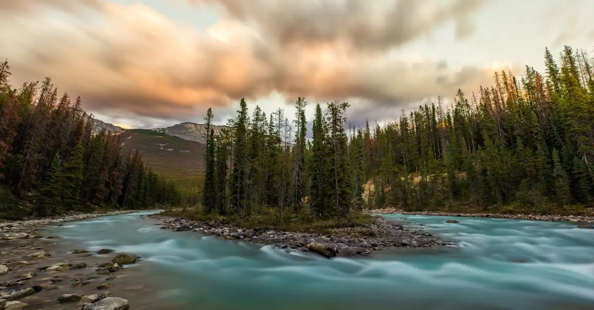 Qual é o maior parque nacional do Canadá?