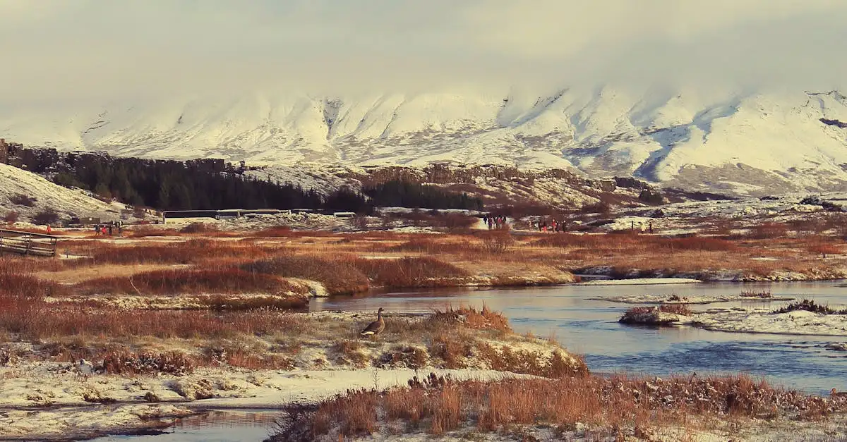 O que é o Parque Nacional Þingvellir na Islândia?