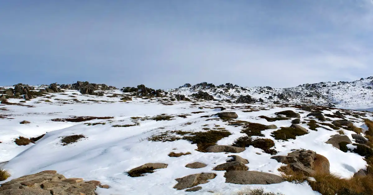 Quais são os melhores locais para esquiar em Mount Buller?