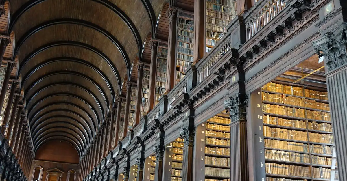 Qual cidade da Irlanda é famosa por pubs e literatura?