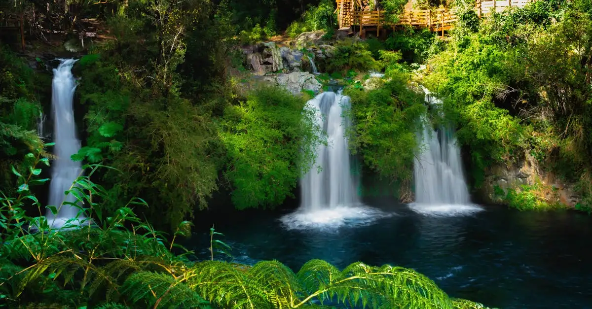 Qual é o maior parque nacional do Chile, o Parque Pumalín?